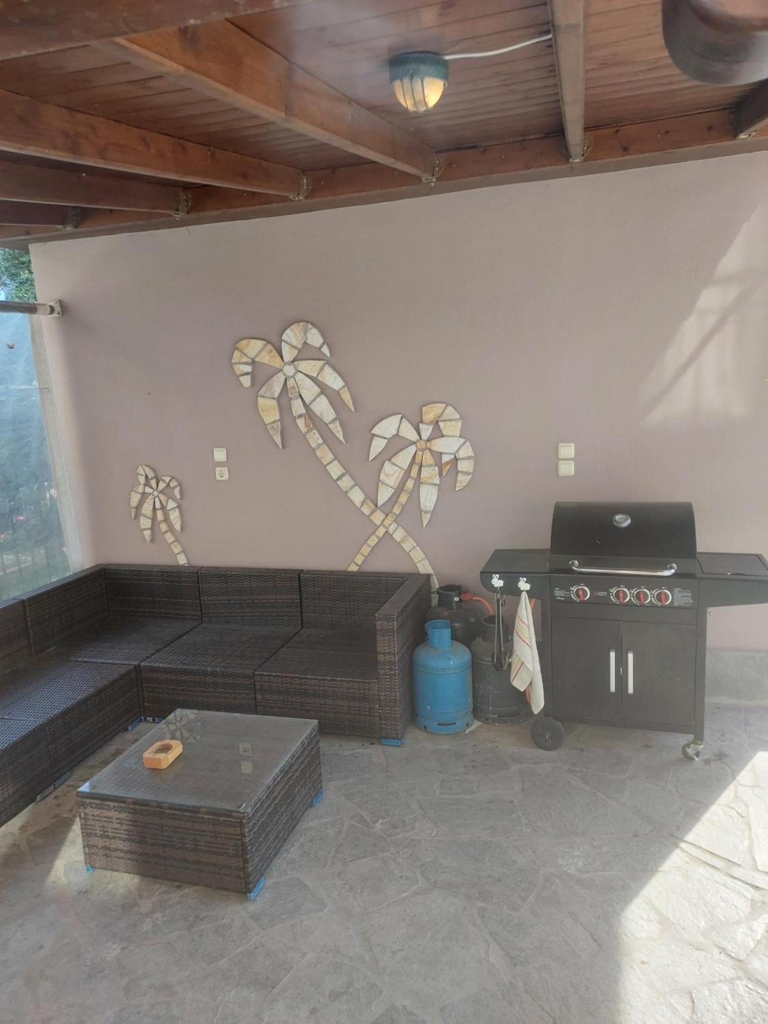Villa Aggelos 斯卡拉索提罗斯 外观 照片
